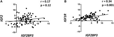 Insulin-Like Growth Factor 2 mRNA-Binding Protein 3 Influences Sensitivity to Anti-IGF System Agents Through the Translational Regulation of IGF1R